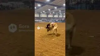 Cat Bull-Riding, But It&rsquo;s a Dog (Arena Chaos) | Sora 2
