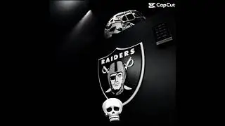 #nfl #raiders #raiders4life