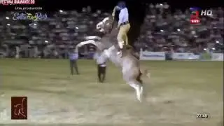 Braian G&oacute;mez campe&oacute;n Diamante 2020