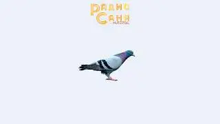 Спонтанный стрим, Drum and Bass шоу Радио Саня