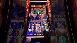 Buffalo Link BONANZA 🦬 $2 Bet - $832.70 | Double Re Trigger!