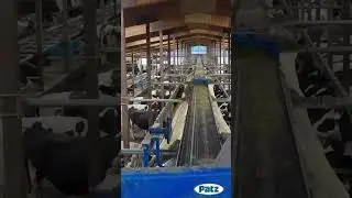Patz Belt Feeders