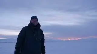 Moskus Dovrefjell 4 2026 01 09