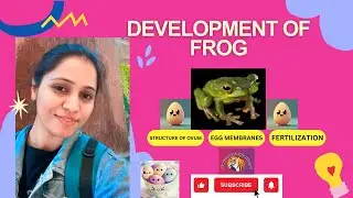 Development of Frog🐸 | Basics of Structure of Egg & Sperm Penetration | Amplexus & Penetration path