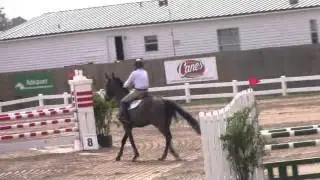Video of ELECTRA ridden by STEPHANIE SAINT-PIERRE BERNIER from ShowNet!