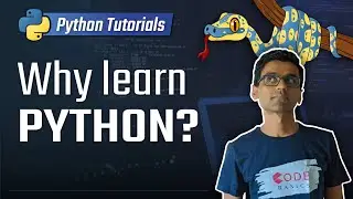 Почему вам стоит изучать Python? | Полные руководства по Python3 для начинающих