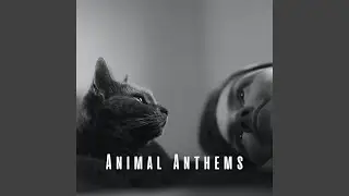 Pet-Friendly Piano Serenade