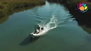 Ezydog Köpek Can Yeleği