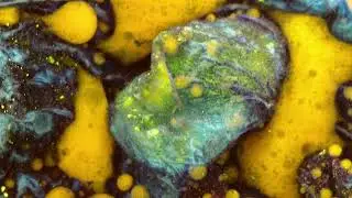 Everything is microbubbles (deep weird chill wave)