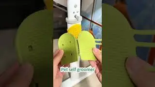 Cat self groomer #cat #bestpetsupplies #catcare