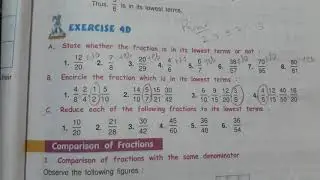 5th , (ex-4D) Fractions