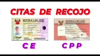 COMO PEDIR CITA DE RECOJO DE CPP Y CE
