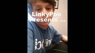 LinkyPoo's First YouTube Video - Legend Of Zelda Breath of the Wild