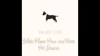 White Plains Paws and Purrs Pet Services / Professional Dog Walking White Plains NY