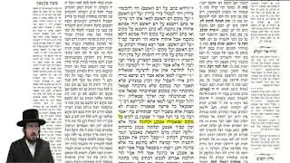 מסכת מנחות דף י  בעברית