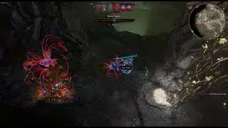 Phase Spider Matriarch Vs lvl 5 shadow monk