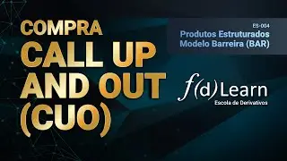 Call Up and Out: Alavancagem Eficiente e Gestão de Risco com Opções Exóticas | FDLearn