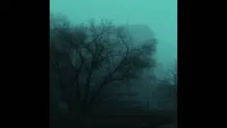 rain chaser