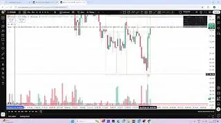 forex mastermind  Live Stream