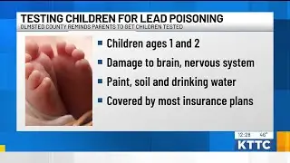 Olmsted County lead testing