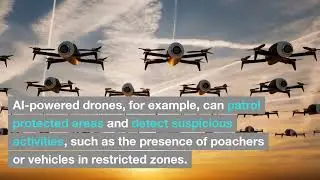 AI and Wildlife Conservation: Protecting Endangered Species