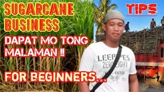 Sugarcane business | Tips, dapat mo tong malaman