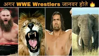 20 WWE SUPERSTARS If Were Animal - Braun Strowman, Roman Reigns - 2019