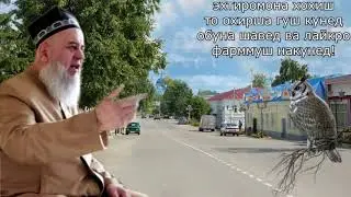 Хочи Мирзо 2022 Саволу Чавоб 3 Марта