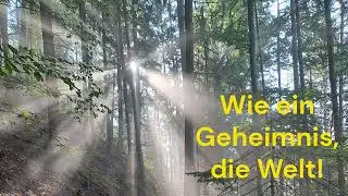 Weihnachtsfrieden 2026