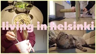 My ordinary days in Finland | Buying stuff for my cat again | Cozy silent vlog | End of year 2025