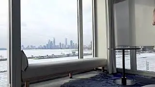 Chicago Skyline View 🏙