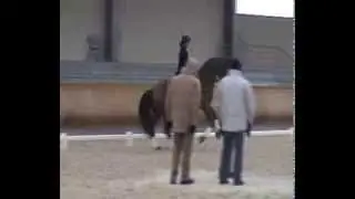 Lioubliou s&eacute;ance travail avec Jan Bemelmans
