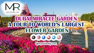 #myreviewly #Dubai_Miracle_Garden  Dubai Miracle Garden A Tour To World&rsquo;s Largest Flower Garden