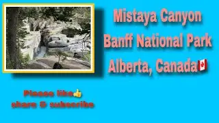Mistaya Canyon / Banff National Park / Curvy Canyon Walls