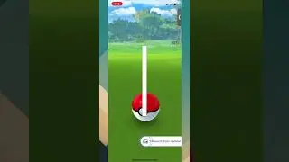(Old) 4 Shiny Galarian Zigzagoon from August 2022 Community Day in Pokemon Go!
