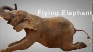 Flying Elephant