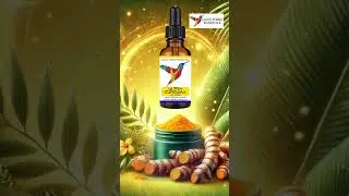 Cloud Forest Botanicals - The Benefits of Turmeric 🌿✨
