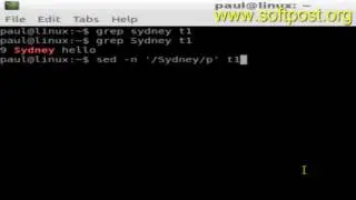Difference between grep and sed in Linux