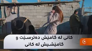 کانی لە گامێش دەترسێت و گامێشیش لە کانی