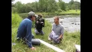 Змеи Темзы