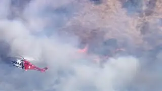Fires in L.A. area leave at least 10 dead, apocalyptic scenes | Quickcast