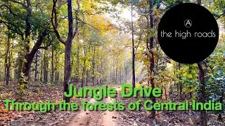 Jungle Drive | Jungle Roads | Driving through the forest | Virtual Safari | Relaxing |The High Roads