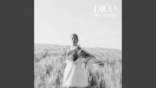 Dice