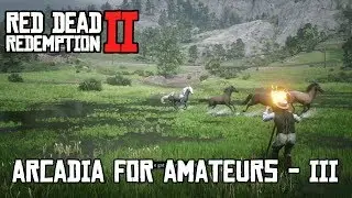 Red Dead Redemption 2 &mdash; Аркадия для любителей 3