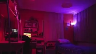 Philips Hue Disco Mode