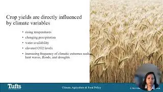 Week 2  Climate Change and Agriculture