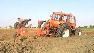 Fiat 1300s DT & Balzani Hard Plowing - Fiat 1300s DT & Bivomero Balzani