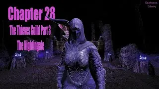 Skyrim Chapter 28 Thieves Guild Part 3 The Nightingale