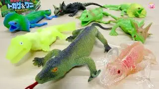 全14種中9種がレア！超リアル「変形爬虫類トカゲ&ワニ」のコレクション性とギミック構造を徹底分析