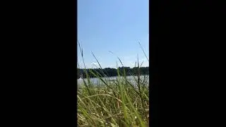 water shit